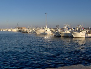 Porto di Ponente, Manfredonia (Ph: webalice, Ciociola Giuseppe)