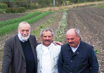 zullo-petrini