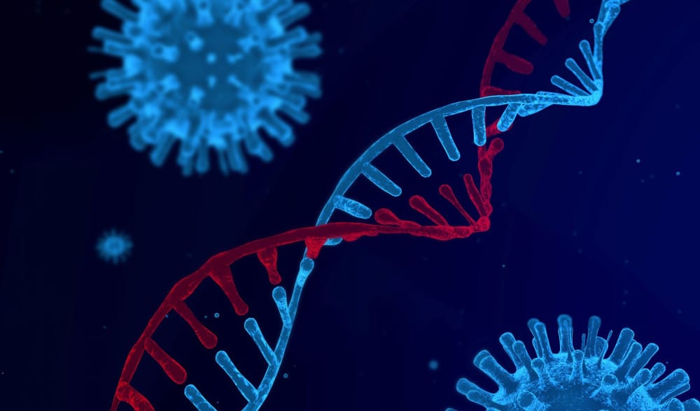 «Il Covid è ancora più letale dell’influenza»: perché oggi si muore di più
