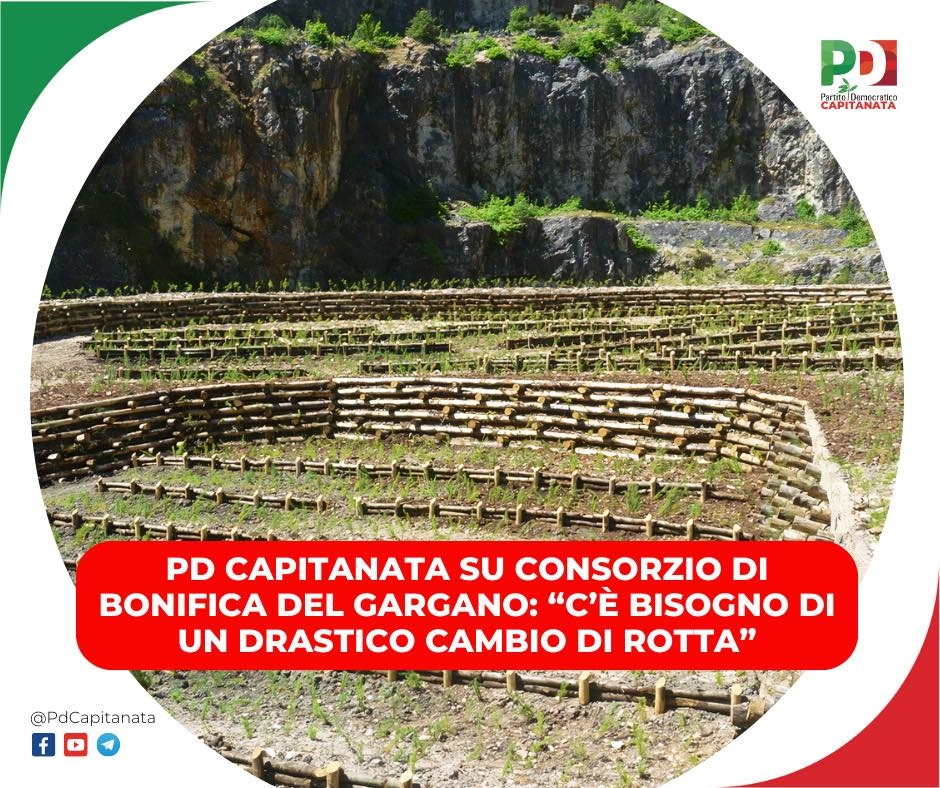d'Arienzo (PD Capitanata): "Consorzio di bonifica del Gargano, c'è bisogno di un drastico cambio di rotta"