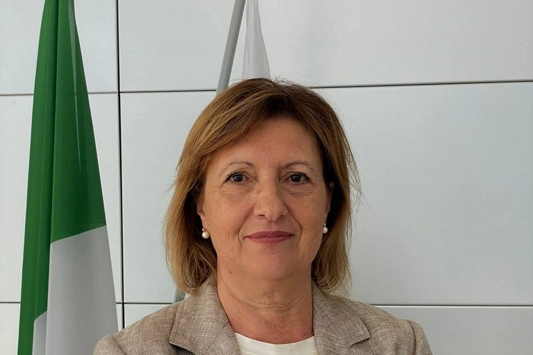 Striscione contro leader del CDX, Spina (FdI): "Il sindaco di Bisceglie prenda le distanze"