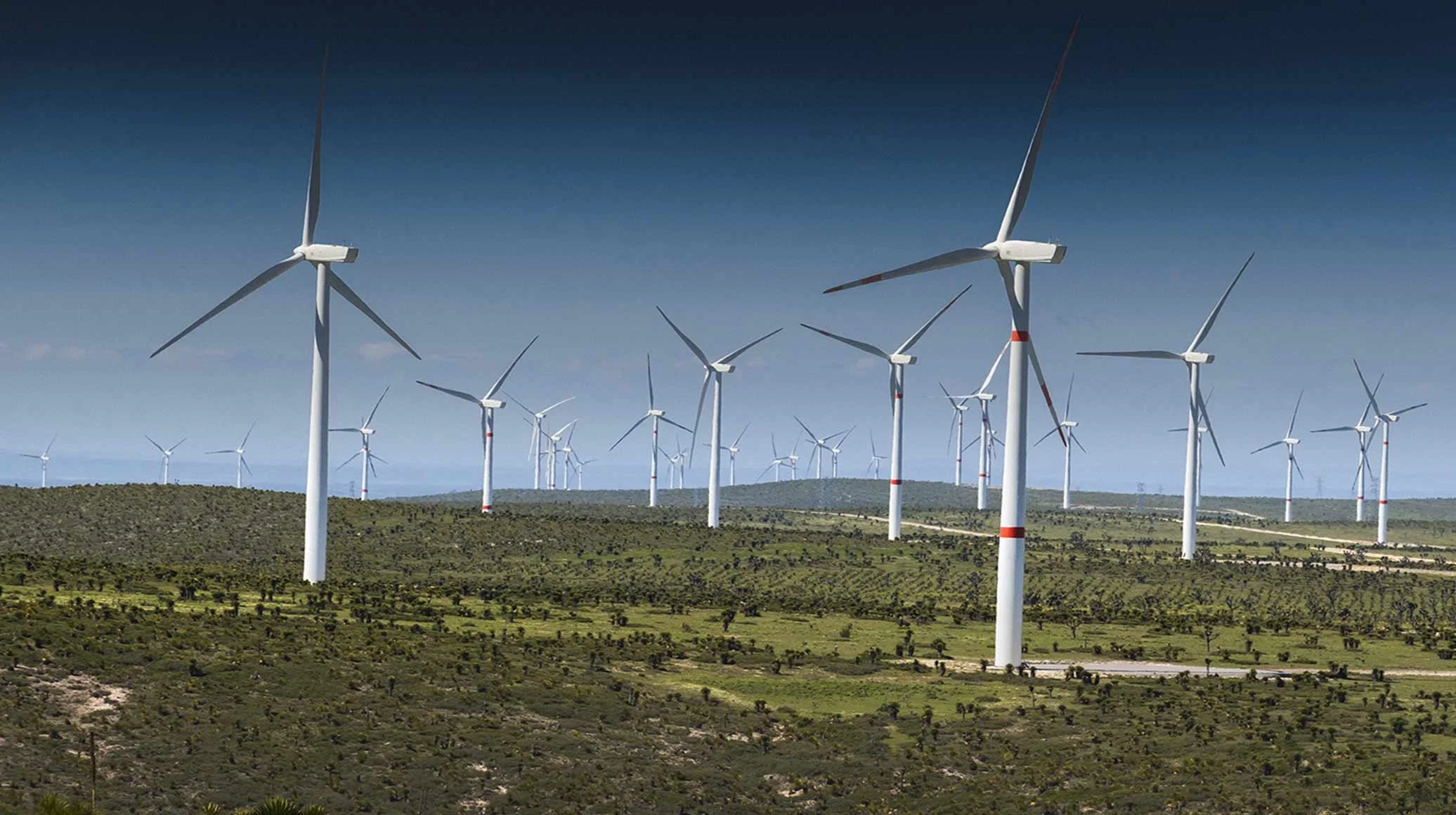 Autorizzato nuovo parco eolico nel Foggiano: investimento da 24,5 MW tra Manfredonia e Foggia