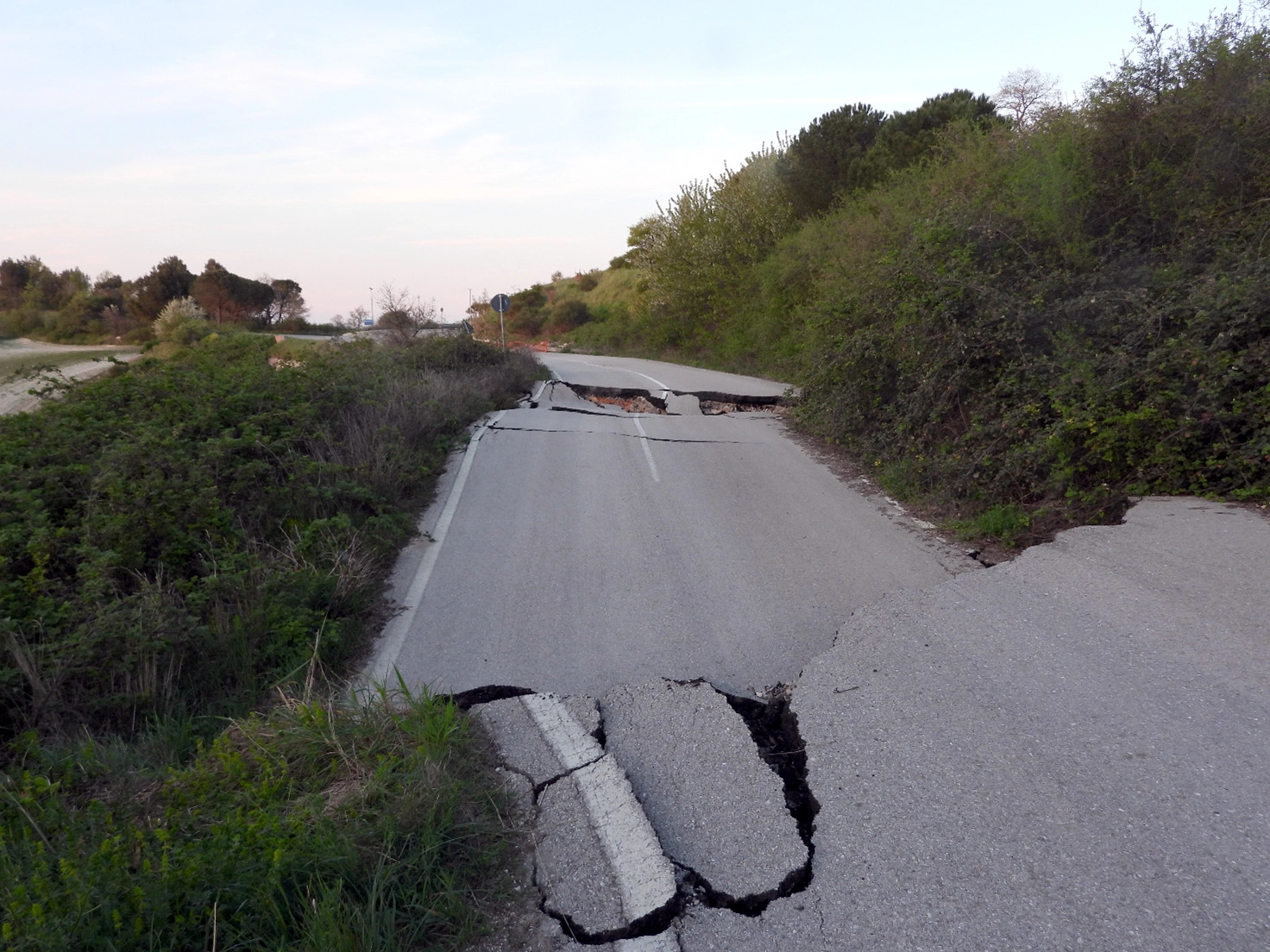 Superstrada garganica, Federazione Pro Natura: “Un’illusione che consuma territorio e risorse”